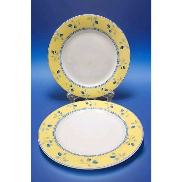 Royal Doulton Blueberry Set Of 2 Salad Plates 7.5" Dishwasher & Microwave Safe - Picture 2 of 8